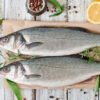 order fish online home delivery